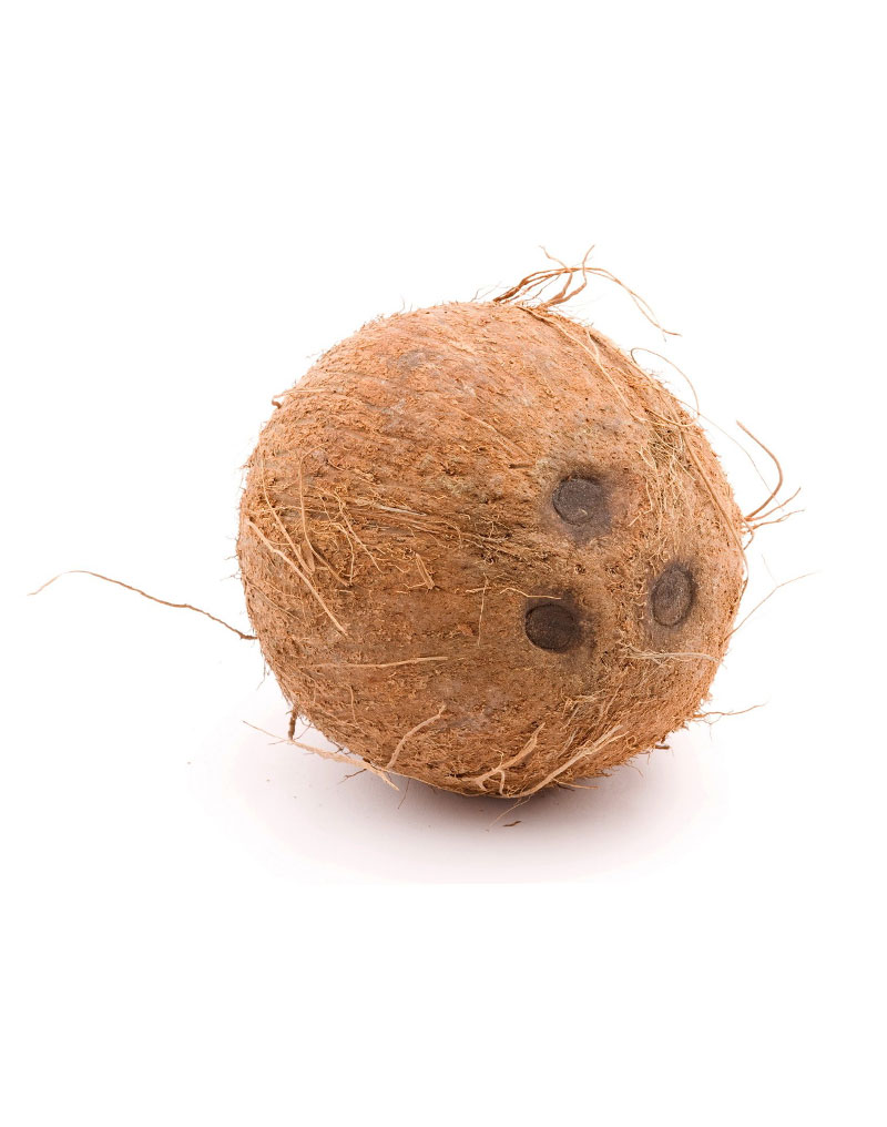 fresh-coconut-sri-lanka