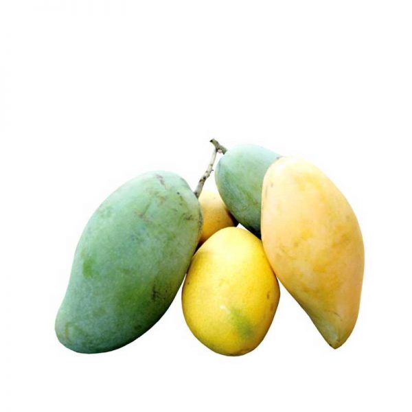 mango-sri-lanka